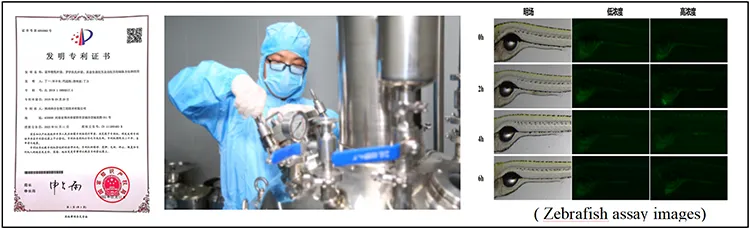 Core technology Patent strain Core technology Patent strain